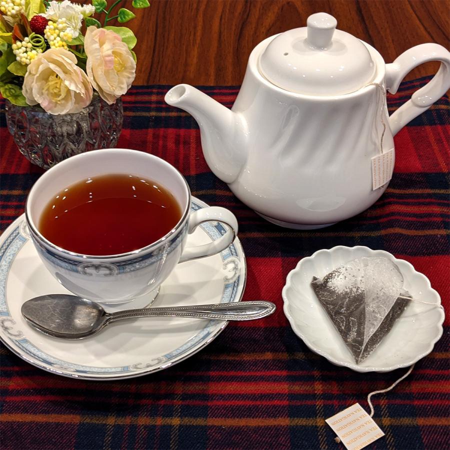TEA NAVIGATION 紅茶 ギフト ティーバッグ スタンダードライン スタンドパック 25包入｜tetrafleur｜18