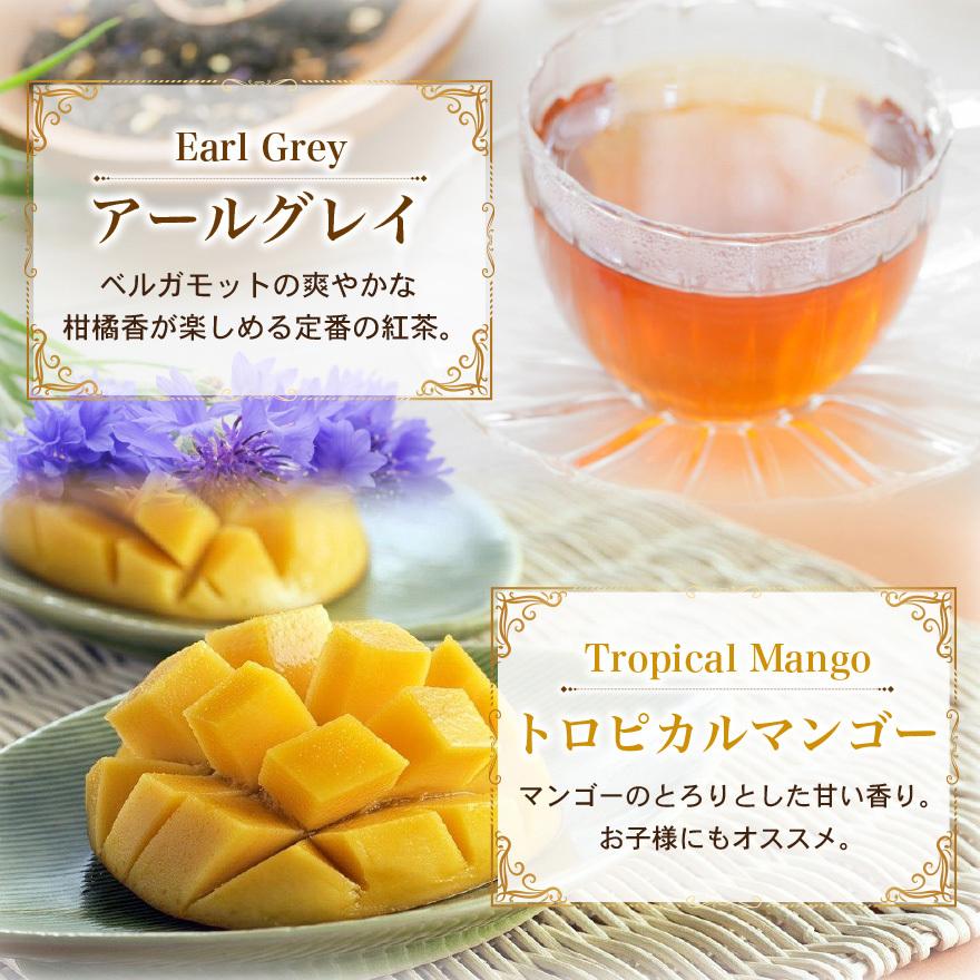TEA NAVIGATION 紅茶 ギフト ティーバッグ 水出し アイスティー