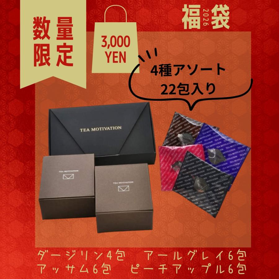 TEA MOTIVATION NAVIGATION 紅茶 ティーバッグ 2026年 福袋・福箱