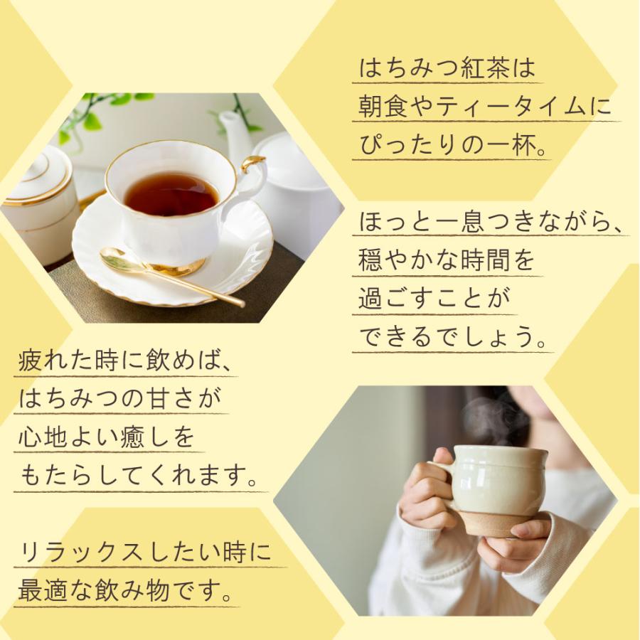 TEA NAVIGATION 紅茶 ギフト ティーバッグ【 はちみつ紅茶 スタンドパック 100包入り 】｜tetrafleur｜06