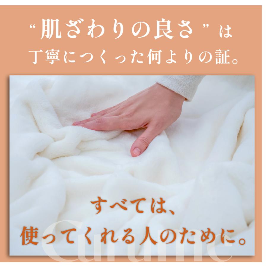 TEIJIN（テイジン） 毛布 ブランケット セミダブル 160×200 公式