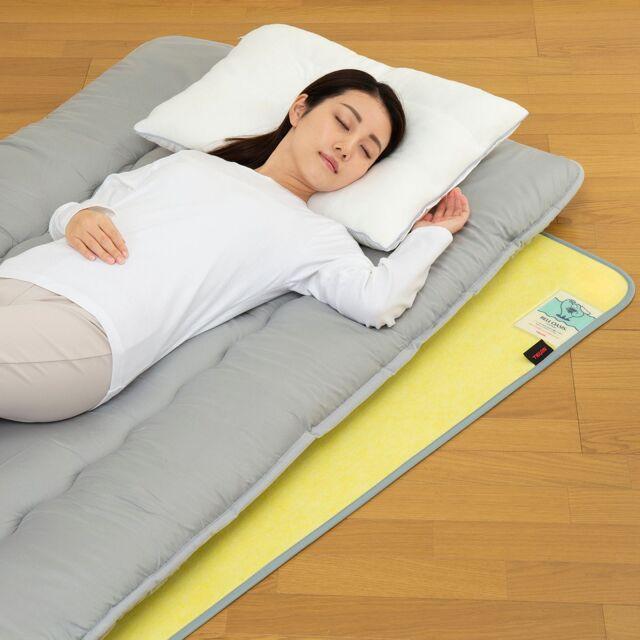 TEIJIN（テイジン） 除湿シート Tcomfort 快眠ドライ ダブル 日本製