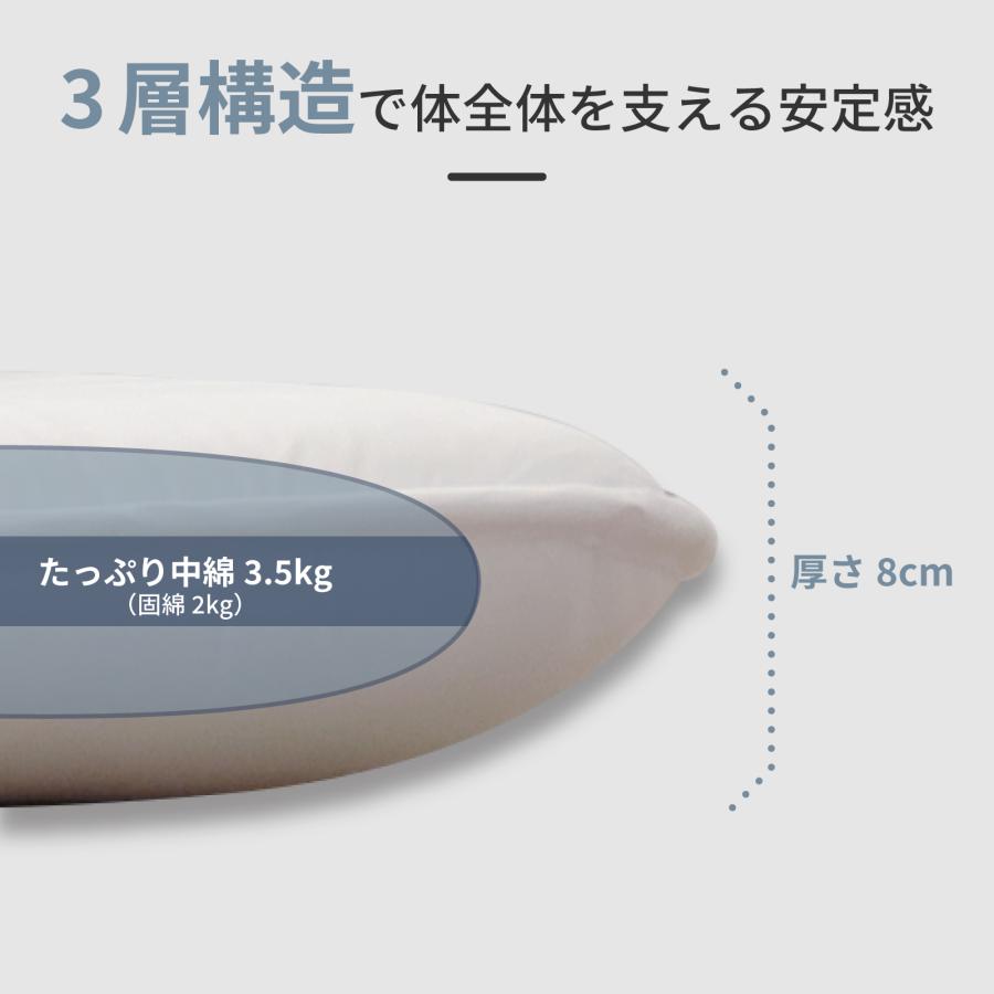 TEIJIN（テイジン） 敷布団 シングル 防ダニ 抗菌 軽量 マイティトップ