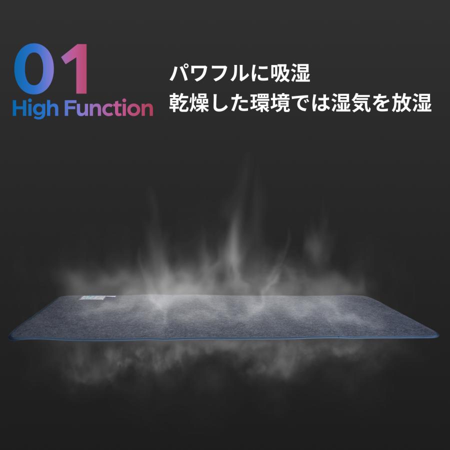TEIJIN（テイジン） 除湿シート ダブル PRO CONTROL シリーズ 日本製