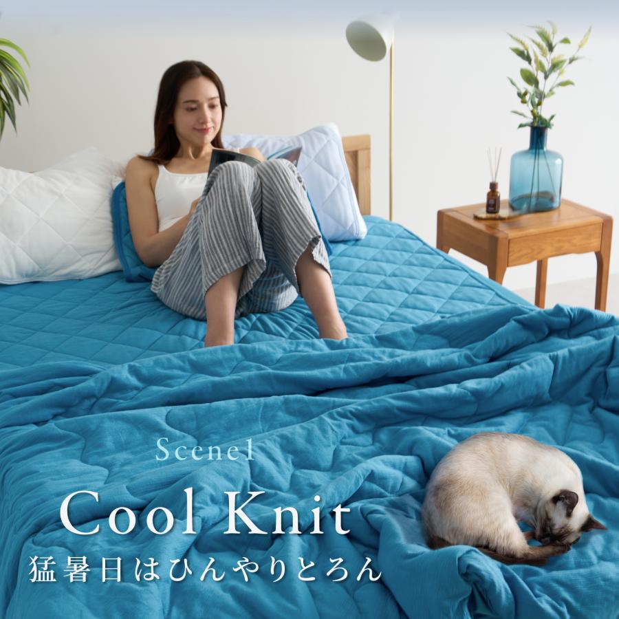 敷パッド クイーン 160x205cm テイジン 公式 リバーシブル COOLME 冷感