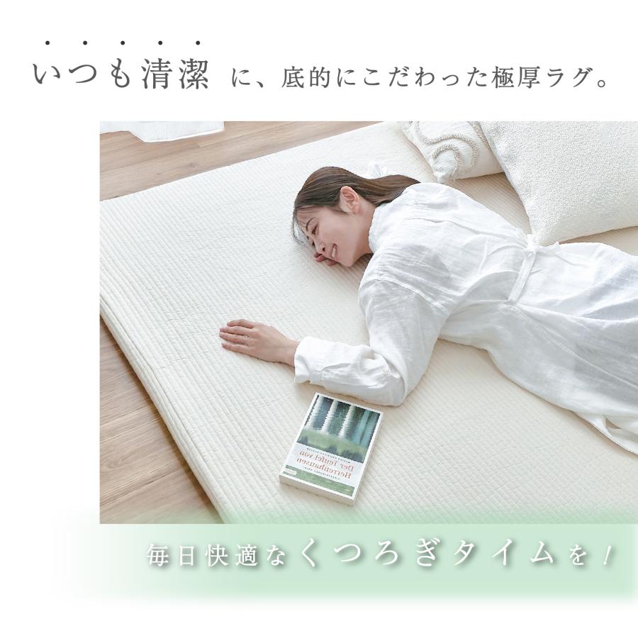 テイジン ラグカバー マット 200×250cm Conome コノミー イブル 洗える 着せ替え 厚手 高反発 抗菌 防臭 防ダニ 滑り止め |  | 15