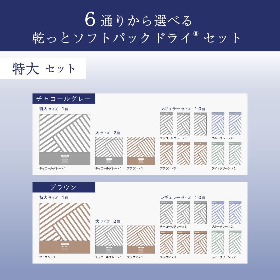 TEIJIN（テイジン） 除湿剤 特大セット 直営店限定 ソフトパックドライ