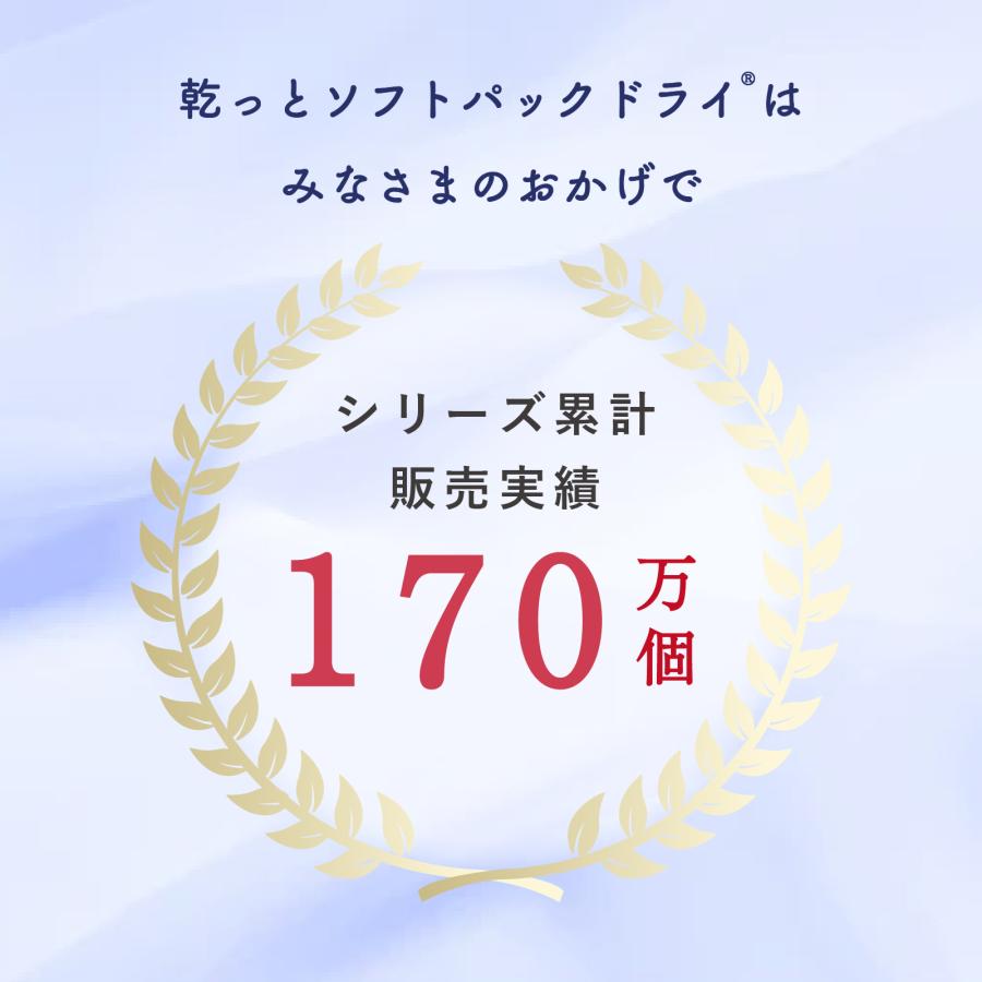 TEIJIN（テイジン） 除湿剤 特大セット 直営店限定 ソフトパックドライ