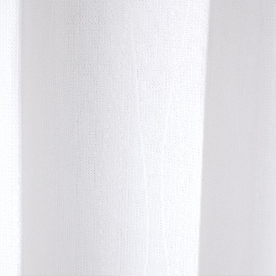 TEIJIN（テイジン） レースカーテン 2枚組 100×108cm 防カビ 抗菌遮熱