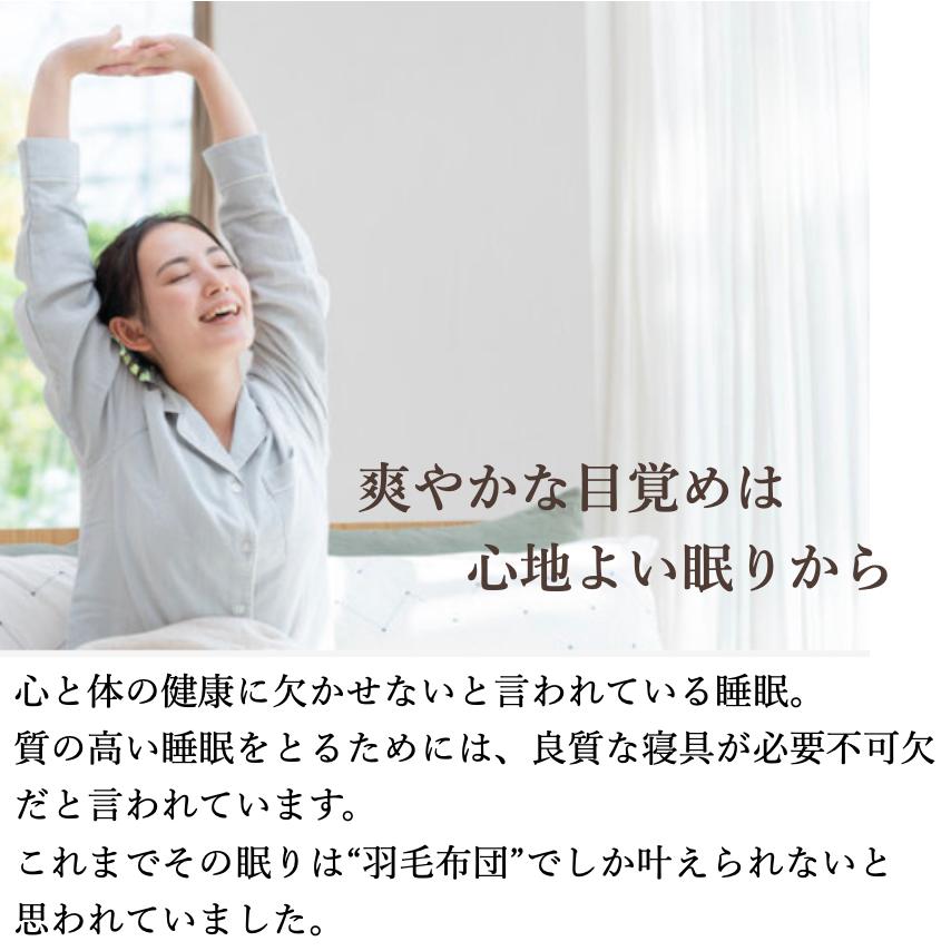 ミクロガード 2枚合わせ掛け布団 シングル ベージュ テイジン ミクロ