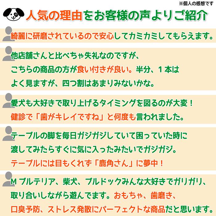 鹿の角 大型 犬 用 鹿角さん 割っていないタイプ けんか角1本 天然 無
