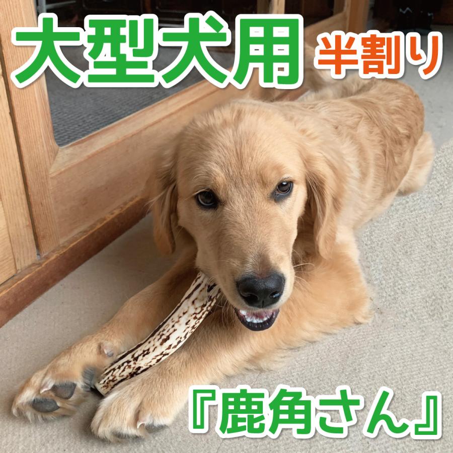 鹿の角 大型 犬 用 鹿角さん 半割り 約20cm 1本 天然 無添加 北海道産
