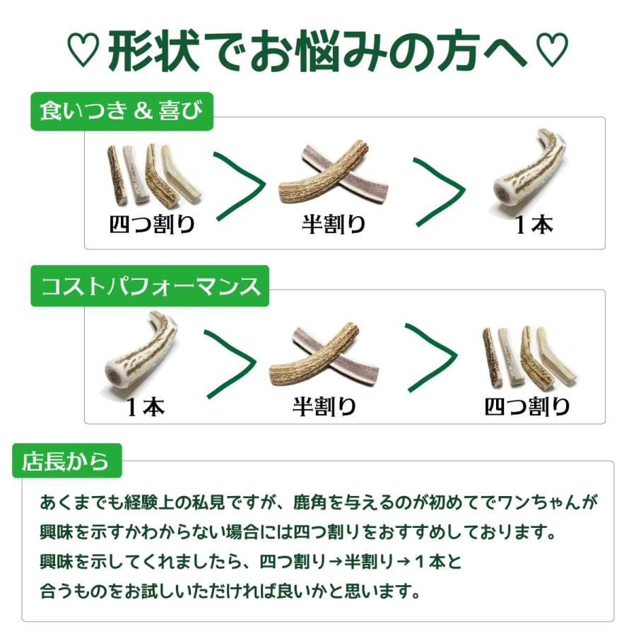 鹿の角 大型 犬 用 鹿角さん 半割り 約20cm 2本セット 天然 無添加