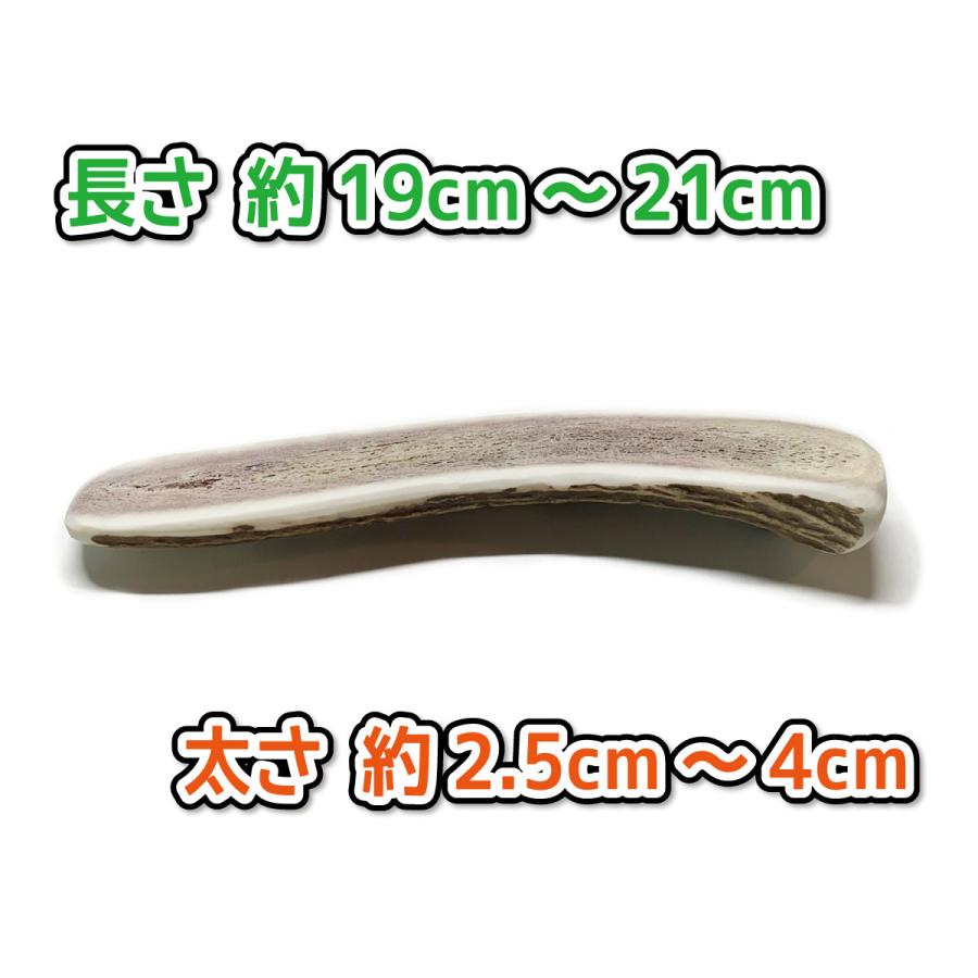 鹿の角 大型 犬 用 鹿角さん 半割り 約20cm 2本セット 天然 無添加