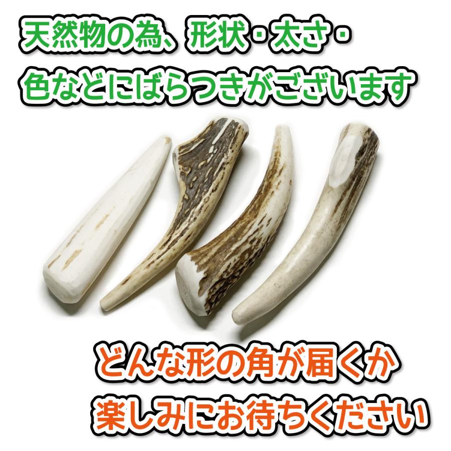 ⑮⑯⑰ハンドメード 犬のおもちゃ【まとめて６本】北海道　エゾシカ　鹿角 ⑮⑯⑰ハンドメード 犬のおもちゃ【まとめて6本】北海道