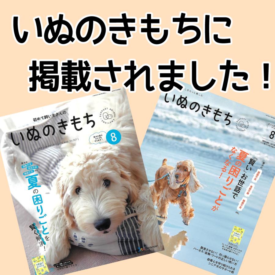 鹿の角 小型 犬 用 鹿角さん 割っていないタイプ先端1本 天然