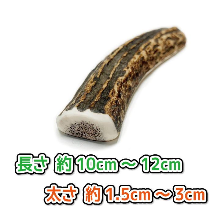 鹿角★１２本★　1本単価1000円★ 鹿角☆12本☆1本単価1000円☆