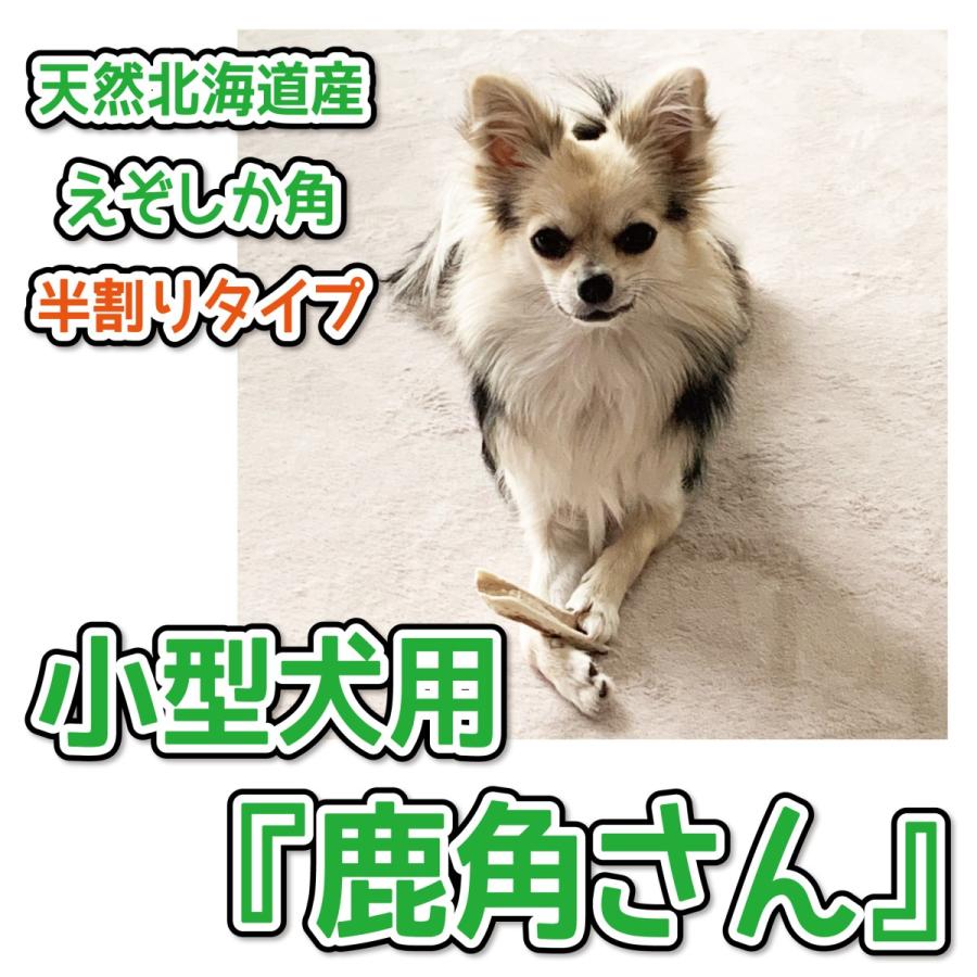 小型犬用 蝦夷鹿の角 『鹿角さん』 半割り２本セット 天然 無添加