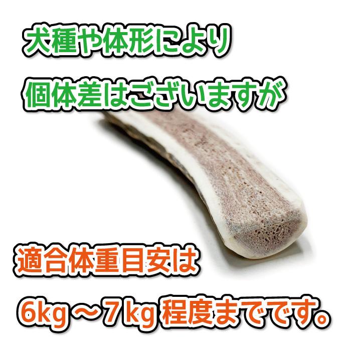 鹿の角 小型 犬 用 鹿角さん 半割り 2本セット 天然 無添加 鹿の角 小型 犬 用 鹿角さん 半割り 2本セット 天然 無添加
