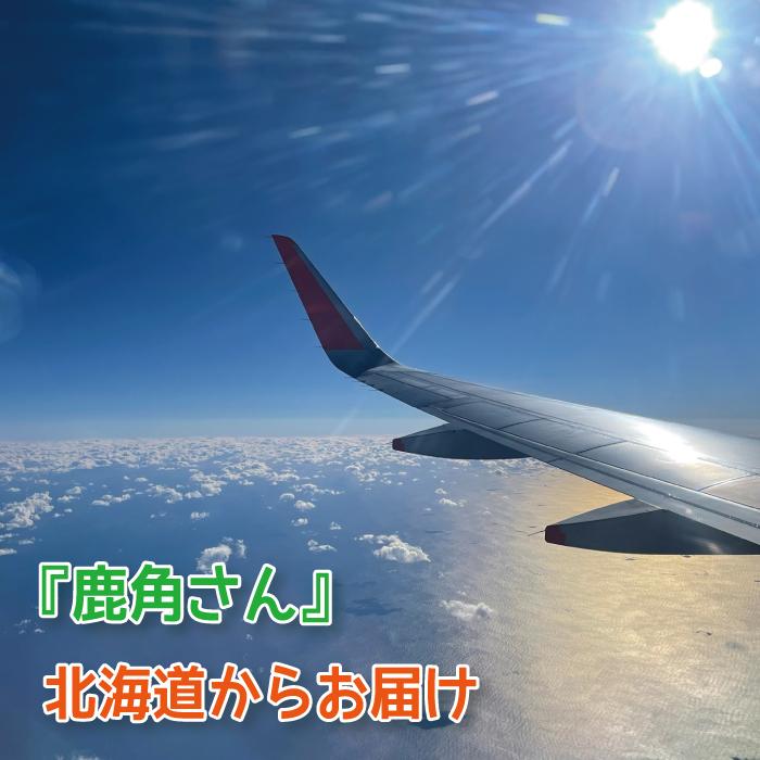 鹿の角 小型 犬 用 鹿角さん 半割り 2本セット 天然 無添加