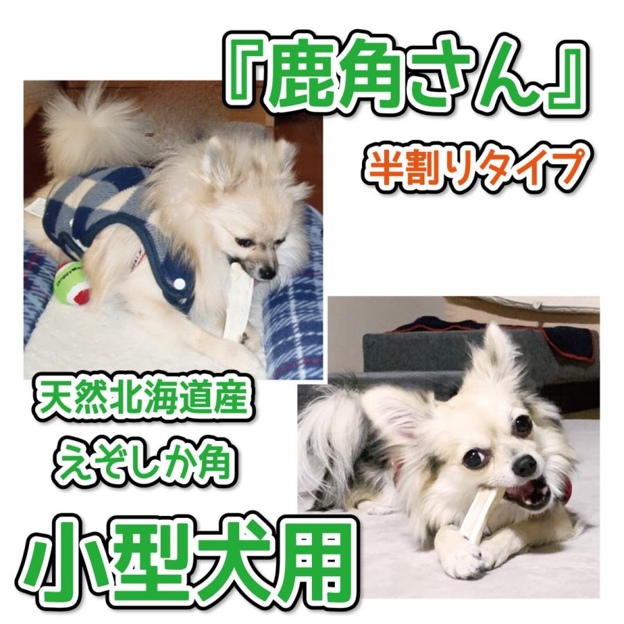 小型犬用 蝦夷鹿の角 『鹿角さん』 半割り２本セット 天然 無添加