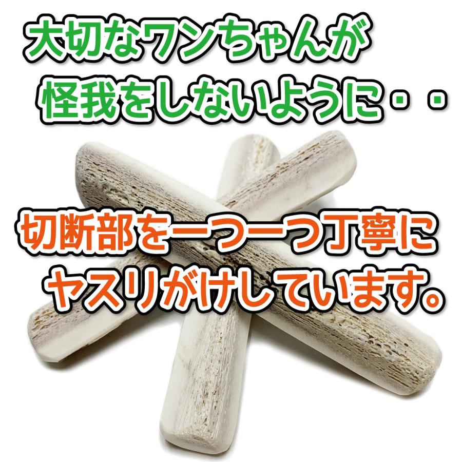 鹿の角 小型 犬 用 鹿角さん 四つ割り2本セット 天然 無添加 鹿の角 小型 犬 用 鹿角さん 四つ割り2本セット 天然 無添加