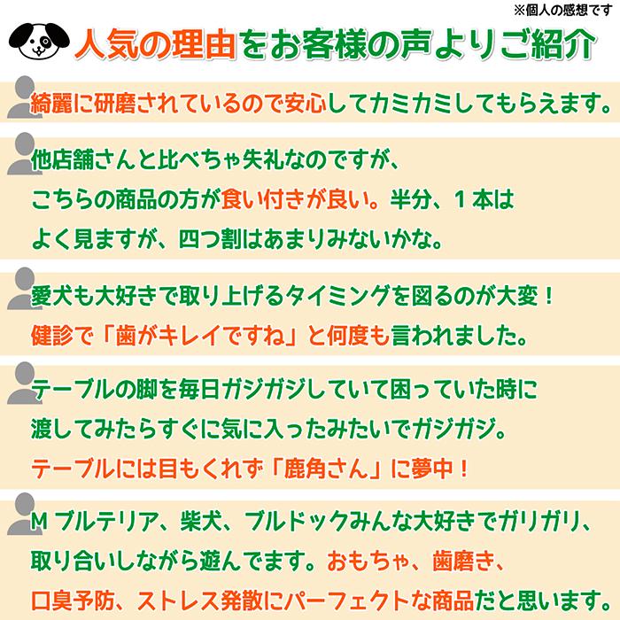 小型犬用 蝦夷鹿の角 『鹿角さん』 四つ割り２本セット 天然 無添加 北海道産 鹿の角 犬のおもちゃ 犬 かむおもちゃ エゾ鹿 エゾシカ ツノ デンタル 4半割り｜tezukuriyasan｜06