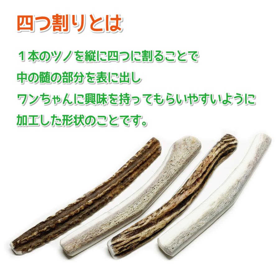 鹿の角 小型 犬 用 鹿角さん 四つ割りロング 2本 天然 無添加 鹿の角 小型 犬 用 鹿角さん 四つ割りロング 2本 天然 無添加