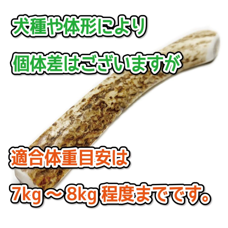鹿の角 小型 犬 用 鹿角さん 四つ割りロング 2本 天然 無添加 鹿の角 小型 犬 用 鹿角さん 四つ割りロング 2本 天然 無添加
