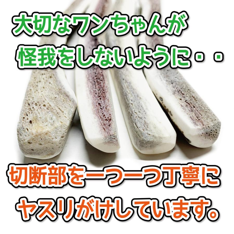 鹿の角 小型 犬 用 鹿角さん 四つ割りロング 2本 天然 無添加 鹿の角 小型 犬 用 鹿角さん 四つ割りロング 2本 天然 無添加