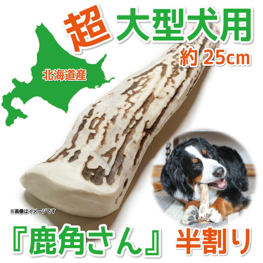 鹿の角 超大型 犬 用 鹿角さん 半割り 約25cm 1本 天然 無添加 鹿の角 超大型 犬 用 鹿角さん 半割り 約25cm 1本 天然 無添加