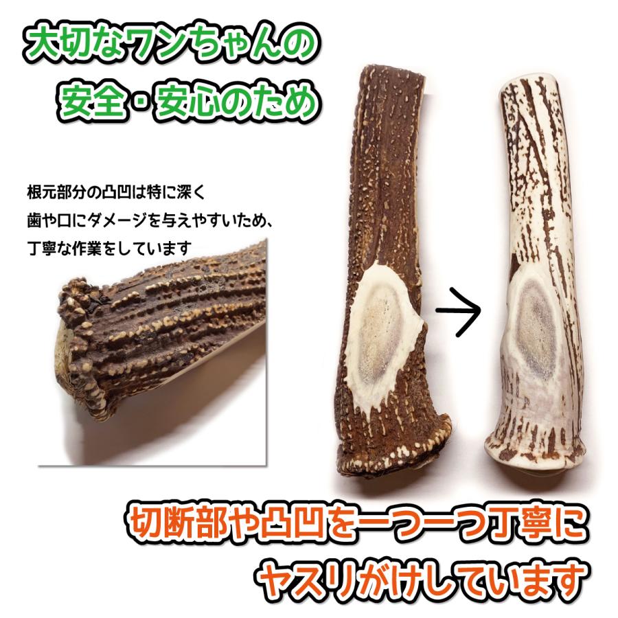 鹿の角 超大型 犬 用 鹿角さん 半割り 約25cm 1本 天然 無添加 鹿の角 超大型 犬 用 鹿角さん 半割り 約25cm 1本 天然 無添加