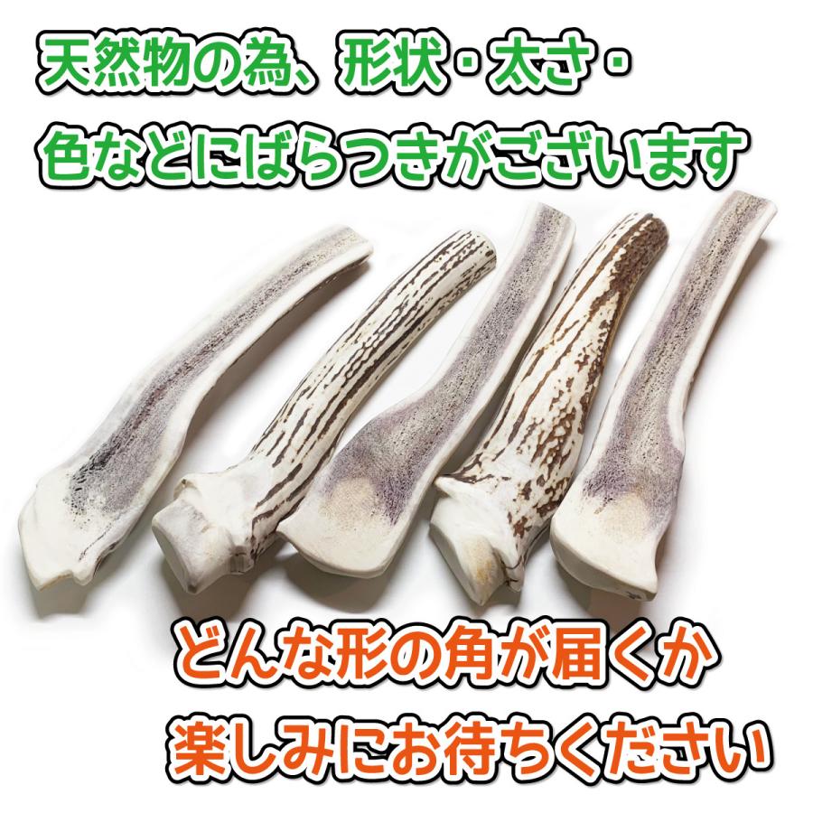 鹿の角 超大型 犬 用 鹿角さん 半割り 約25cm 1本 天然 無添加 鹿の角 超大型 犬 用 鹿角さん 半割り 約25cm 1本 天然 無添加