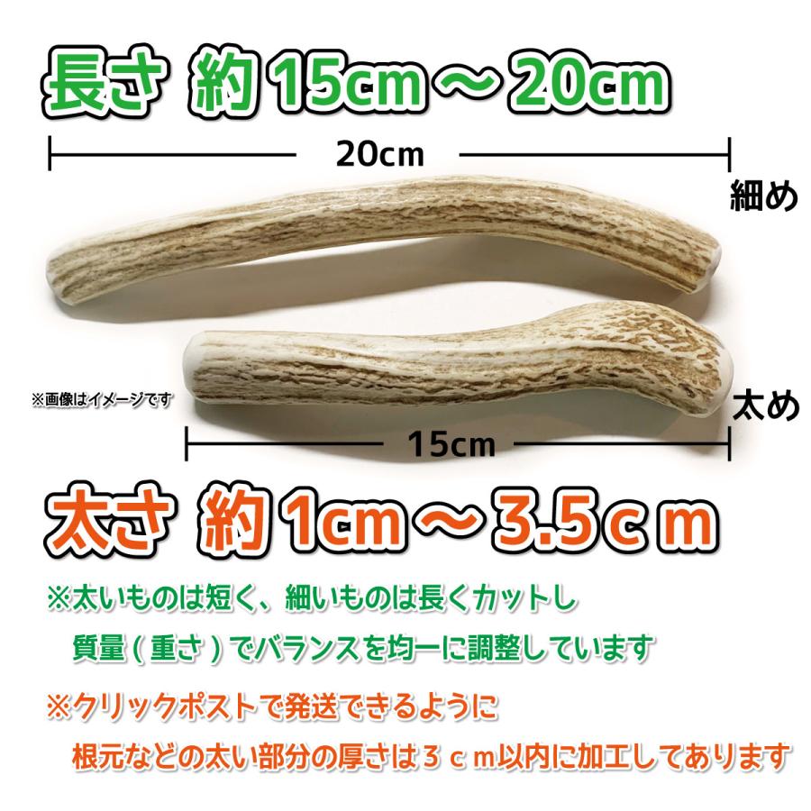 中型犬用 蝦夷鹿の角 1本 かむおもちゃ エゾシカ エゾ鹿 ツノ デンタル 割っていないタイプ 北海道産 天然 無添加 犬 犬のおもちゃ 鹿の角 鹿角 鹿角さん 【SALE/87%OFF】 鹿角さん 中型犬用 蝦夷鹿の角 1本 かむおもちゃ エゾシカ エゾ鹿 ツノ デンタル 割っていないタイプ 北海道産 天然 無添加 犬 犬のおもちゃ 鹿の角 鹿角 鹿角さん 【SALE/87%OFF】 鹿角さん