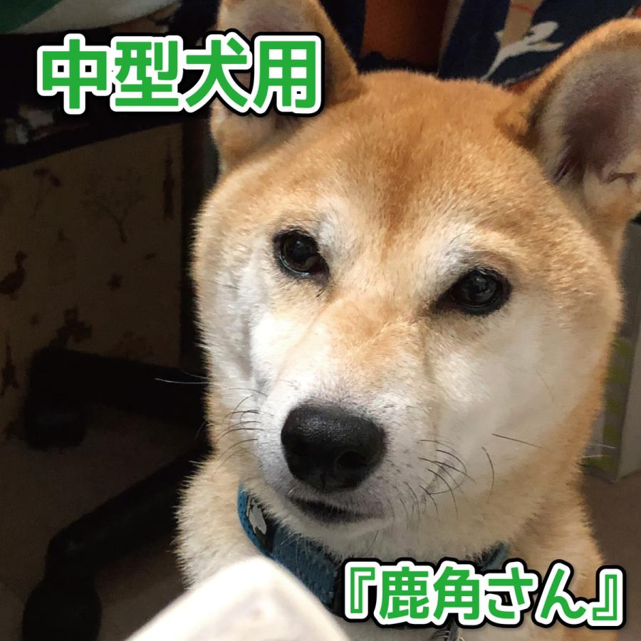 中型犬用 蝦夷鹿の角 鹿角さん 半割りタイプ 1本 天然 無添加 北海道産 犬のおもちゃ かむおもちゃ エゾ鹿 エゾシカ ツノ デンタル Tyuwari15 2 1 手づくり屋さんヤフー店 通販 Yahoo ショッピング
