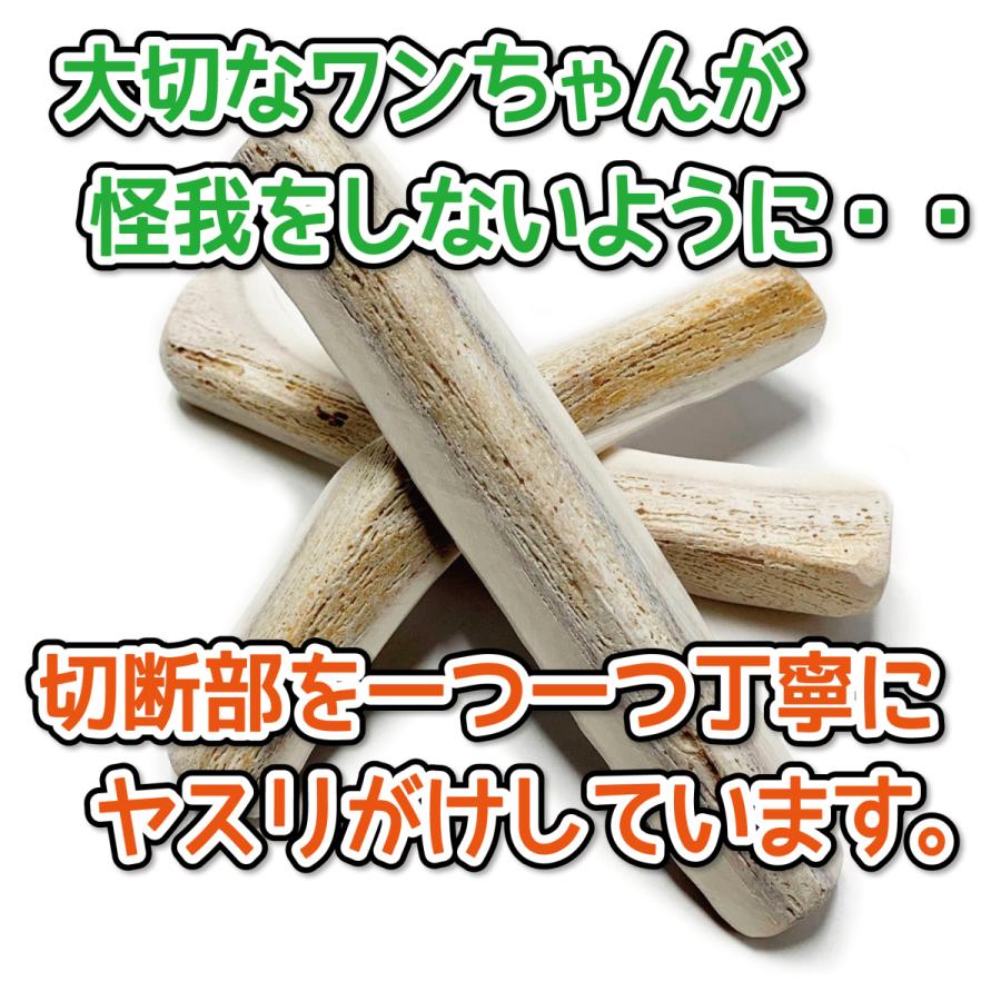 鹿の角 中型 犬 用 鹿角さん 四つ割り2本セット 天然 無添加