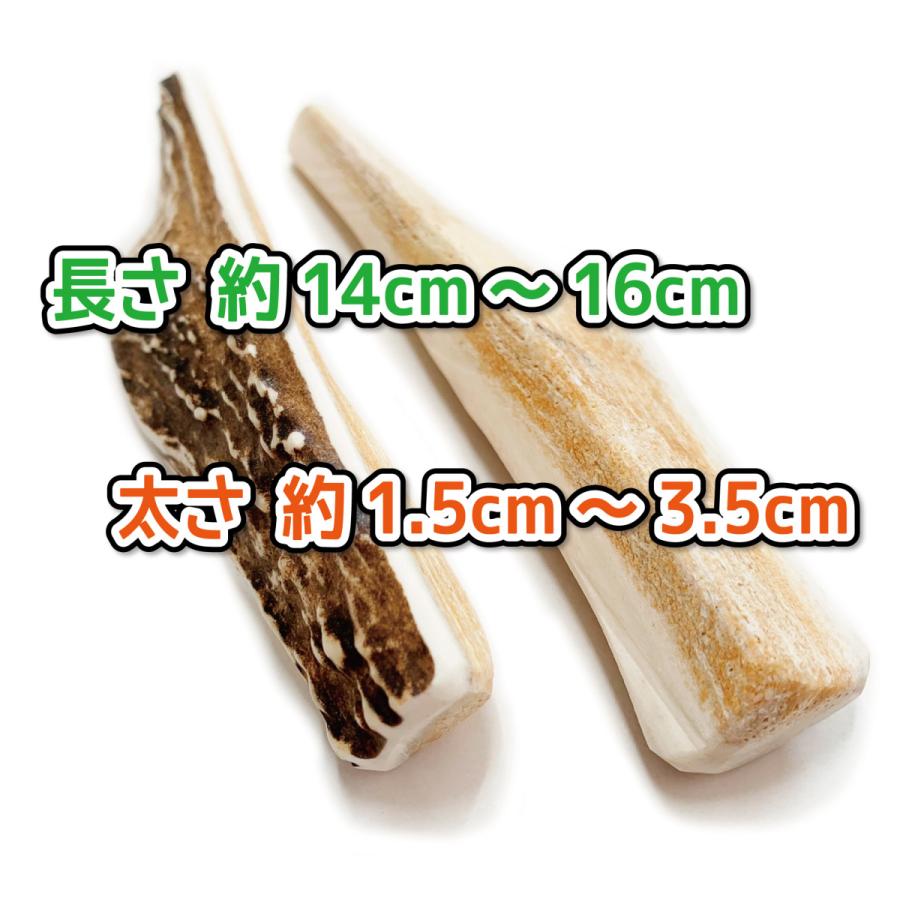中型犬用 蝦夷鹿の角 『鹿角さん』 約15cm 四つ割り 1本 天然 無添加 北海道産 鹿の角 犬のおもちゃ 犬 かむおもちゃ エゾ鹿 エゾシカ ツノ デンタル 鹿角 :tyuwari15-4:手づくり屋さんヤフー店 - 通販 - Yahoo!ショッピング 中型犬用 蝦夷鹿の角 『鹿角さん』 約15cm 四つ割り 1本 天然 無添加 北海道産 鹿の角 犬のおもちゃ 犬 かむおもちゃ エゾ鹿 エゾシカ ツノ デンタル 鹿角 :tyuwari15-4:手づくり屋さんヤフー店 - 通販 - Yahoo!ショッピング