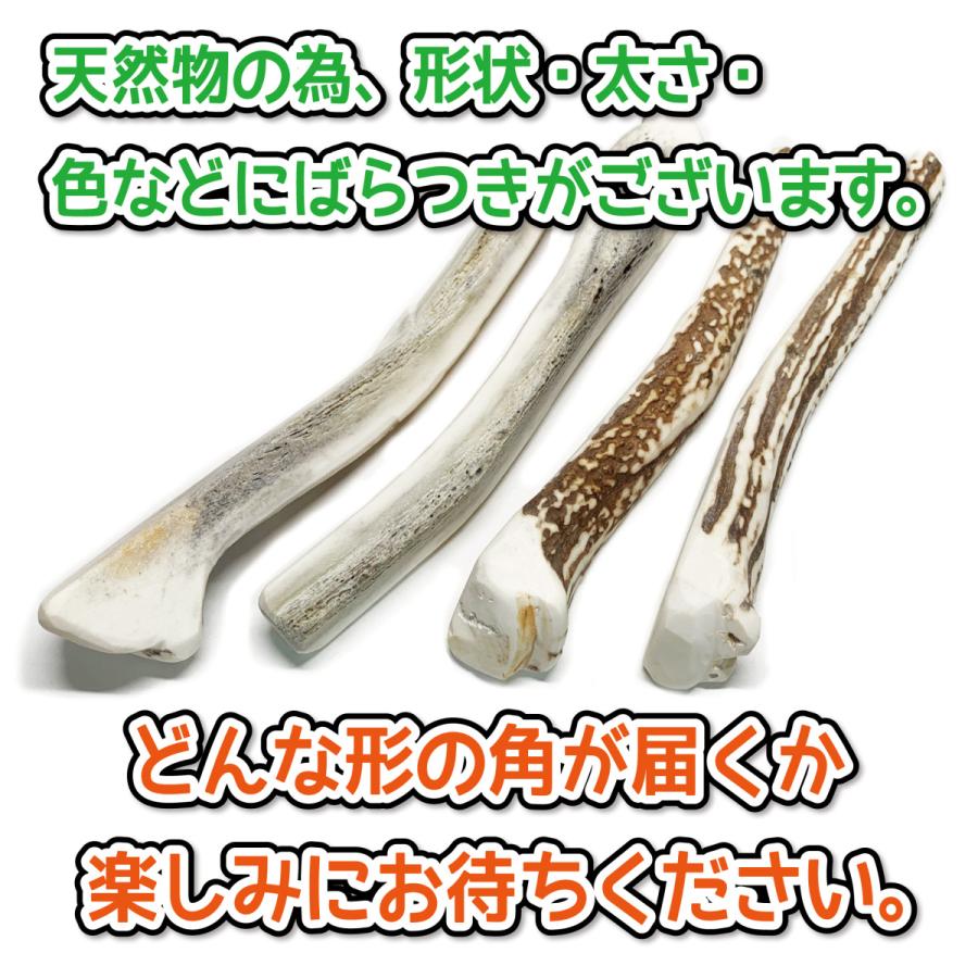 鹿の角 鹿角さん 中型 犬 〜大型犬用 四つ割りロング1本 天然 無添加