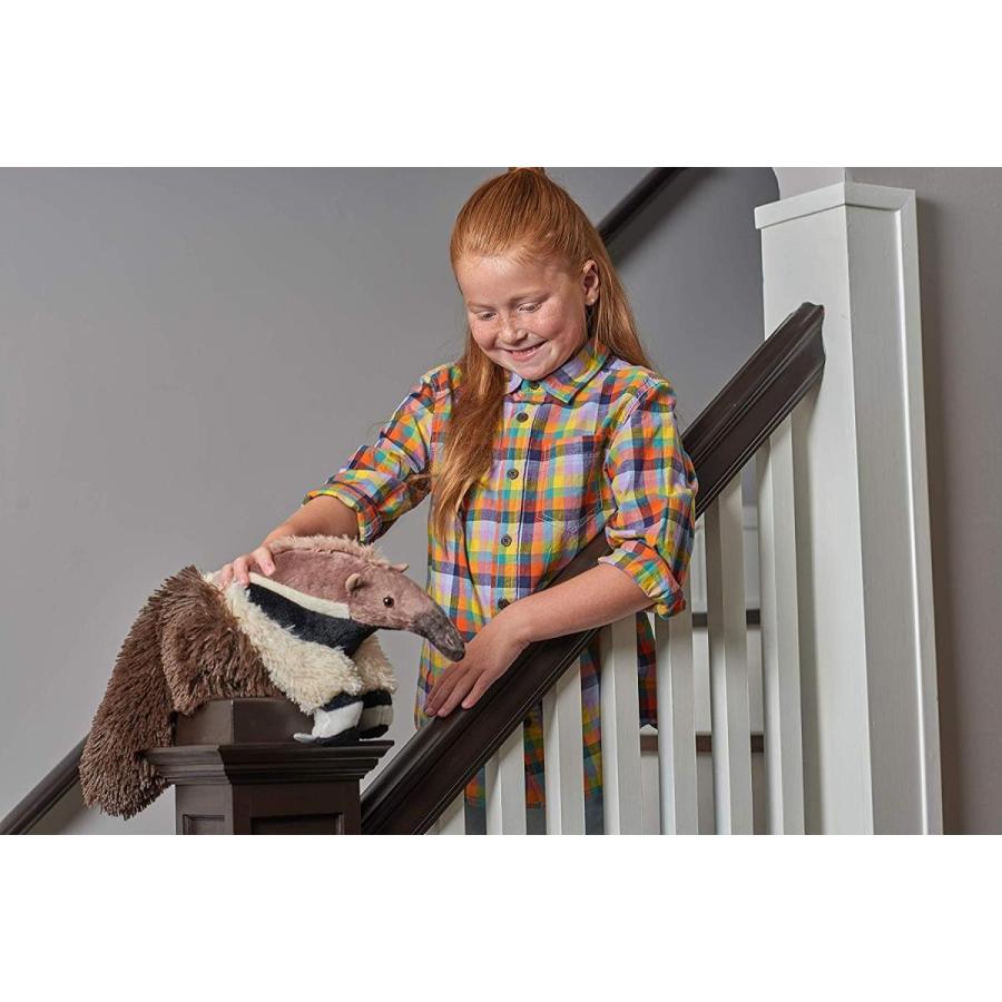 すべての花の画像 100 Epic Bestオオアリクイ アリクイ ぬいぐるみ