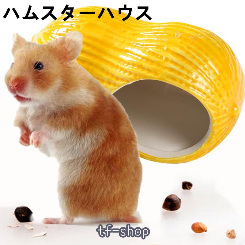 ハムスター ハウス 夏用 涼感 ひんやり 陶器 おへや ベッド 貝殻 家 暑さ対策 トトロ リス 小動物 ハリネズミ おもちゃ かわいい Xrx Tf Shop 通販 Yahoo ショッピング