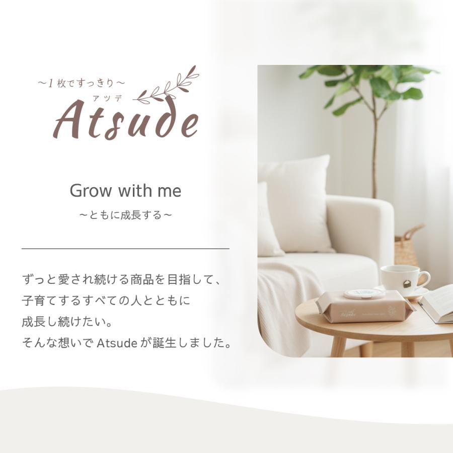2026年リニューアル おしりふき 厚手 2way おうち用 お出かけ用 手口