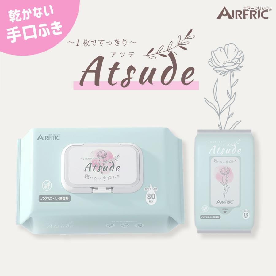 AIRFRIC 手口ふき 2way おうち用 お出かけ用 厚手 無添加 無香料 ノンアルコール 蓋つき 大判 赤ちゃん ベビー 出産祝い ギフト 大容量 Atsude  WT004-2W（Yahoo!・AIRFRIC）