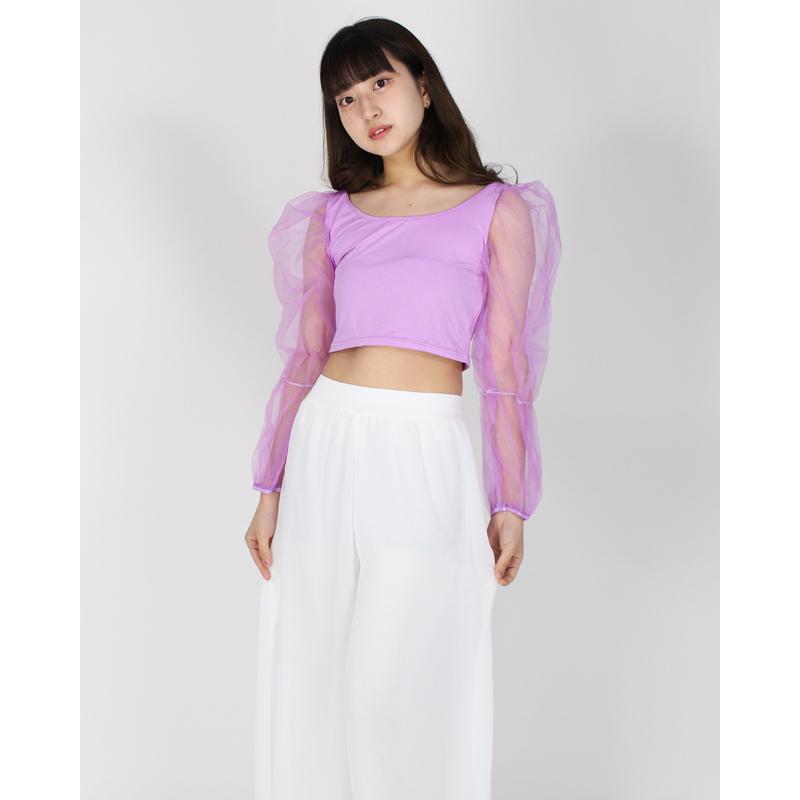 ダンス衣装 トップス ショート丈 シースルー 長袖 ぽわん袖 へそ出し 黒 白 紫 ダンス ヒップホップ ガールズ レディース K Pop 韓国 Cltk 05 ダンススタイル Cocos 通販 Yahoo ショッピング