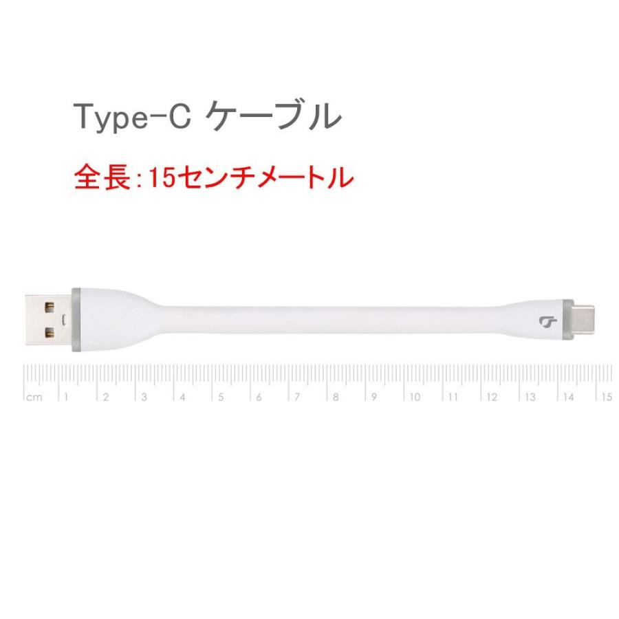 Type-C ケーブル BigBlue 15cm USB-A to USB-Cケーブル タイプC USB 2.0 Cタイプ 急速充電 高耐久