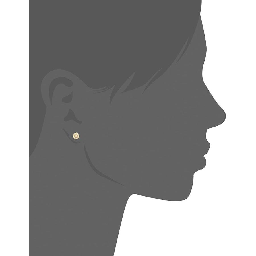 リトルエンブレム little emblem K18ダイヤケシパールピアス LE-AP70 リトルエンブレム little emblem K18ダイヤケシパールピアス LE AP70