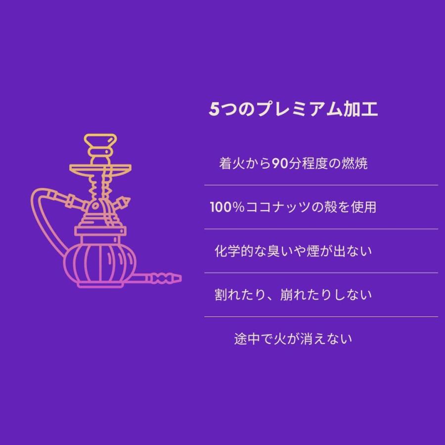 TFS Cobie X - プレミアム シーシャ炭 22mm キューブ 96個入り 1箱