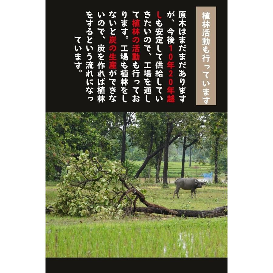 ラオス産 天然備長炭 荒上丸 15kg - 業務用 白炭 キャンプ用 BBQ用 長時間燃焼 強火力 灰少なめ｜tfsjp｜10