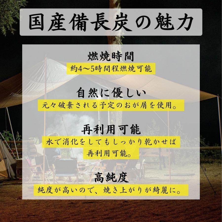 国産オガ炭 いよ備長炭  愛媛県 10kg｜tfsjp｜05