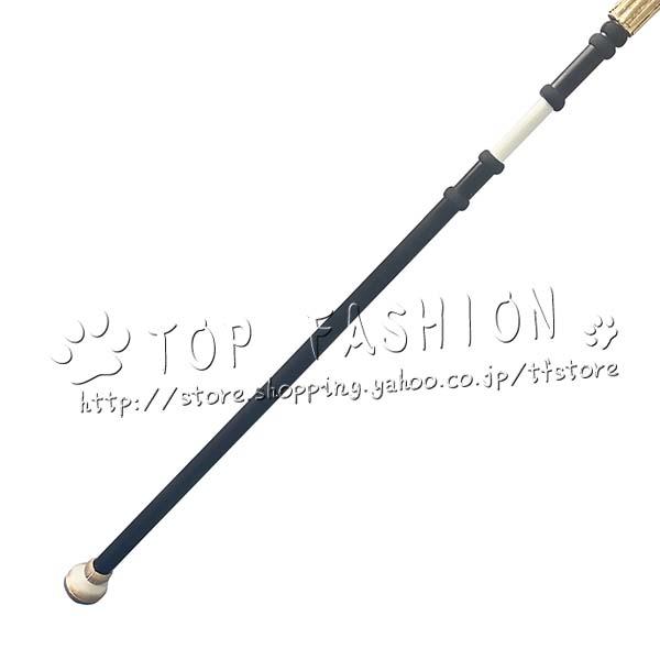 鳴潮 Wuthering Waves 風 フィービー Phoebe コスプレ道具 武器