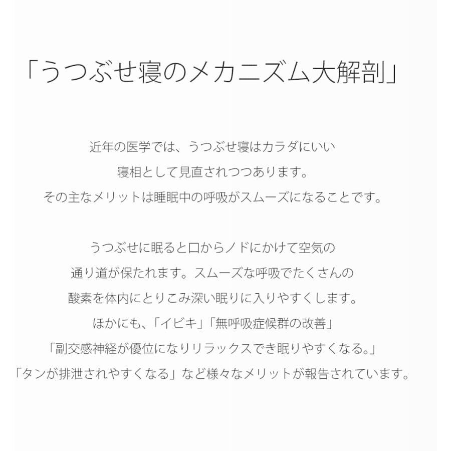 年のクリスマスの特別な衣装 ドクタースミス Dr Smith 枕 いびき防止 無呼吸症候群 横寝対応 仰向け 本体 カバー 3 Fusero フセロ3 うつぶせ寝枕 枕 ピロー Www Lawshucks Com